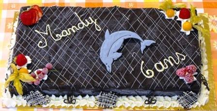 Gâteau dauphin – Mandy 6 ans